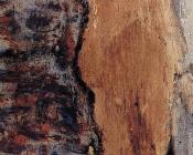 埃德加 德加 : Nude